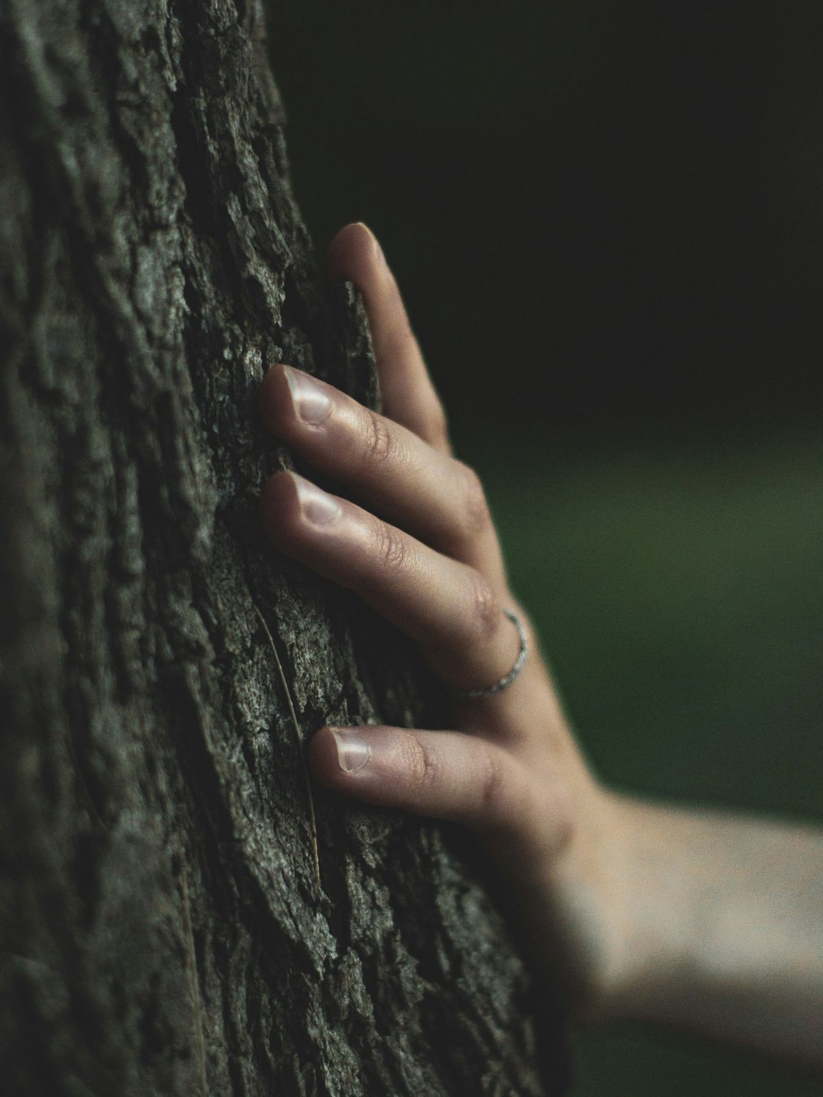Hand einer Frau berührt achtsam die Rinde eines alten Baumes in natürlichem Licht